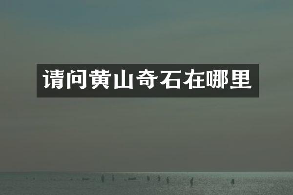 请问黄山奇石在哪里