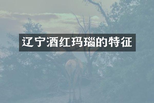 辽宁酒红玛瑙的特征