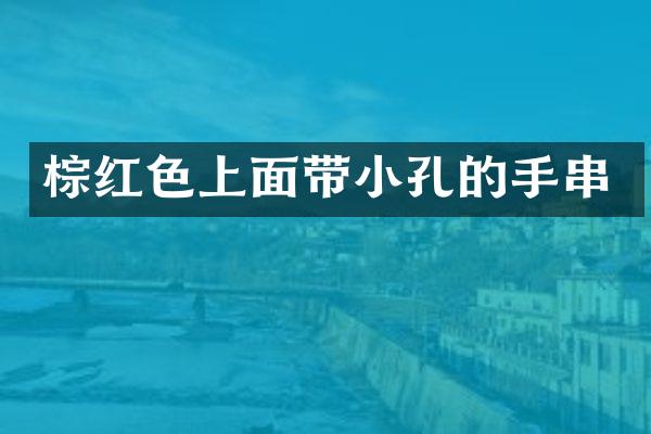 棕红色上面带小孔的手串
