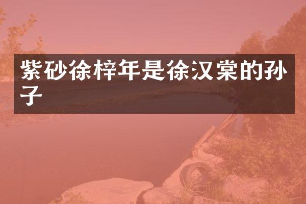 紫砂徐梓年是徐汉棠的孙子
