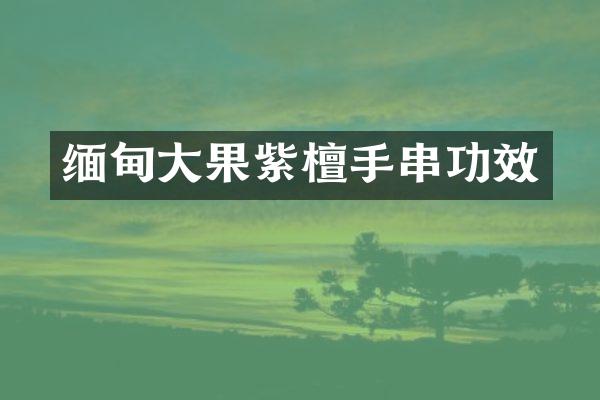 缅甸大果紫檀手串功效