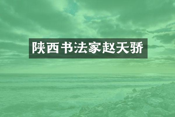 陕西书法家赵天骄