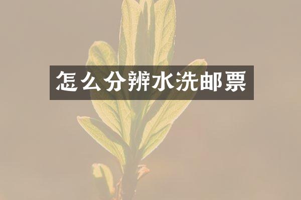 怎么分辨水洗邮票