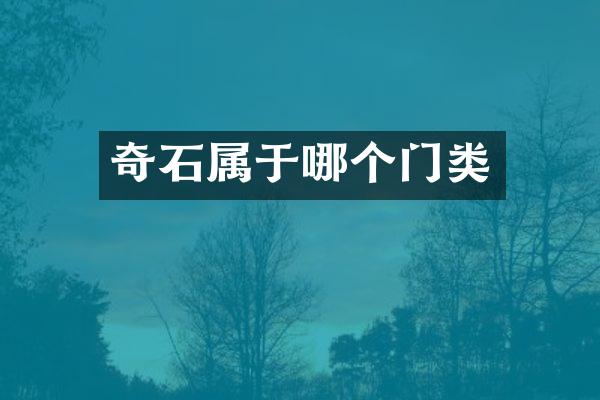 奇石属于哪个门类