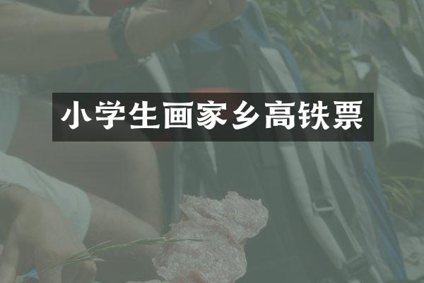 小学生画家乡高铁票