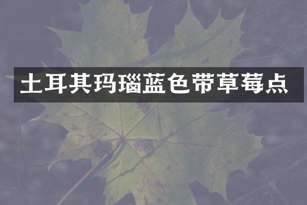 土耳其玛瑙蓝色带草莓点