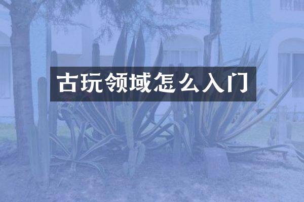 古玩领域怎么入门