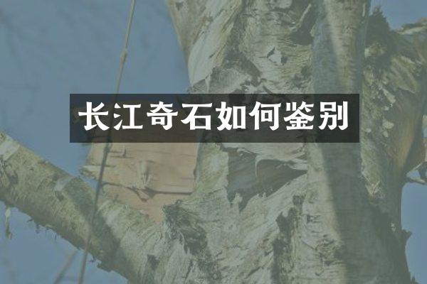 长江奇石如何鉴别