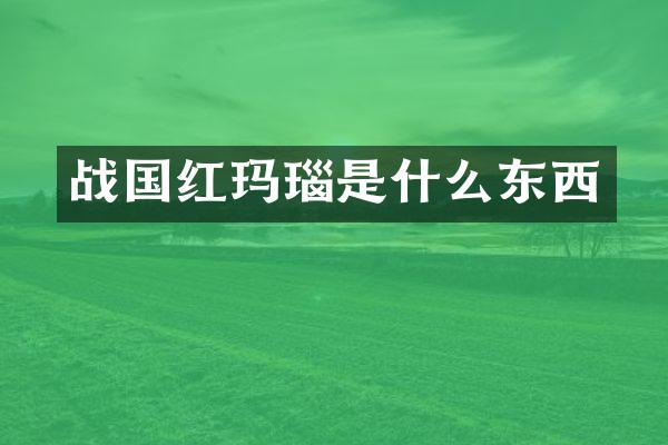 战国红玛瑙是什么东西