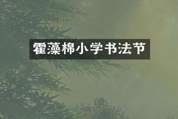 霍藻棉小学书法节