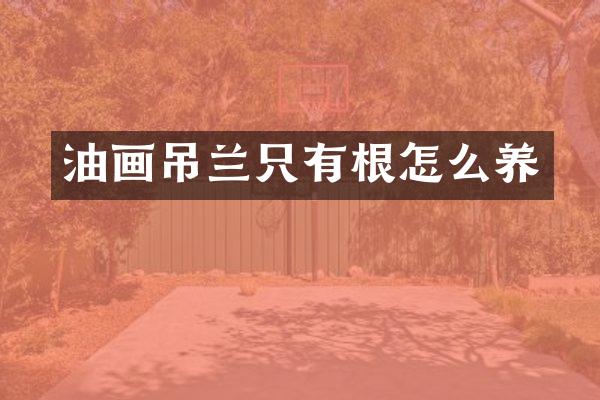 油画吊兰只有根怎么养