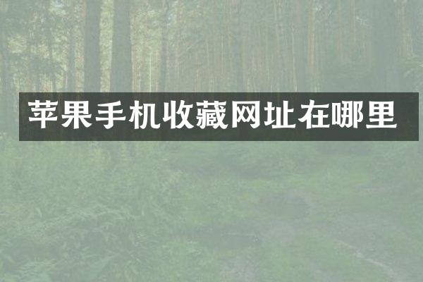 苹果手机收藏网址在哪里