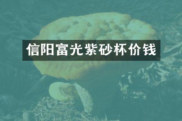 信阳富光紫砂杯价钱