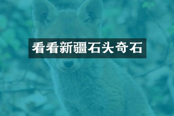 看看新疆石头奇石