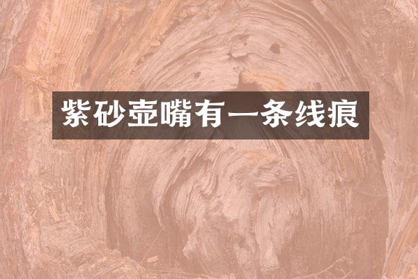 紫砂壶嘴有一条线痕