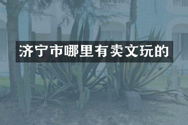 济宁市哪里有卖文玩的