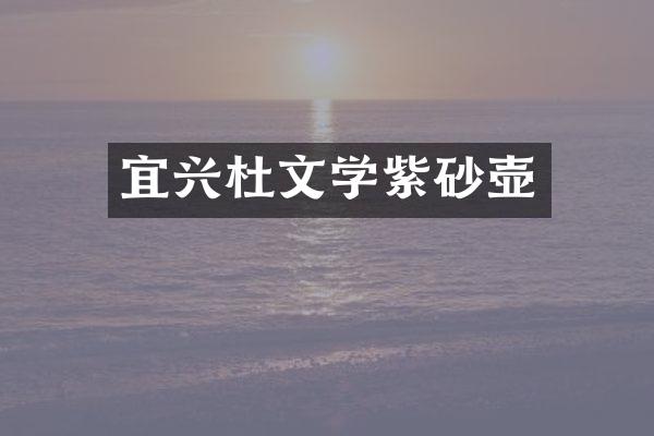 宜兴杜文学紫砂壶