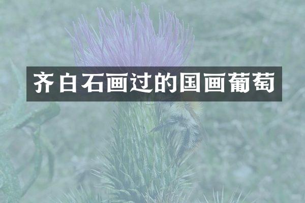 齐白石画过的国画葡萄