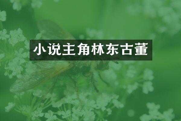 小说主角林东古董