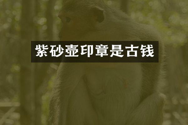 紫砂壶印章是古钱