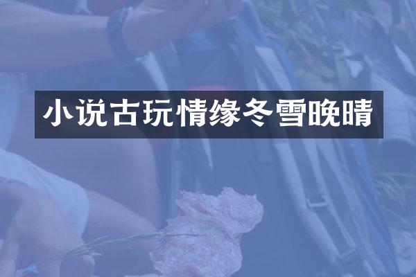 小说古玩情缘冬雪晚晴