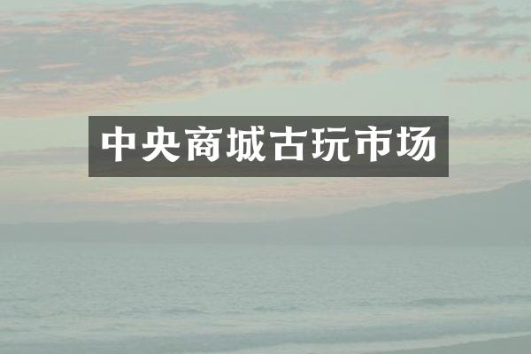 中央商城古玩市场