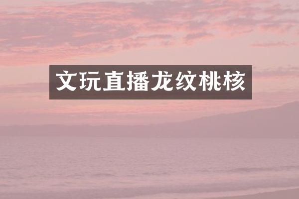 文玩直播龙纹桃核