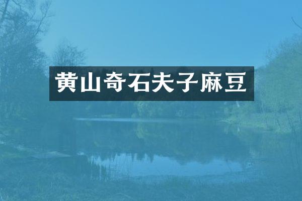 黄山奇石夫子麻豆