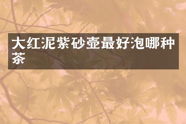 大红泥紫砂壶最好泡哪种茶