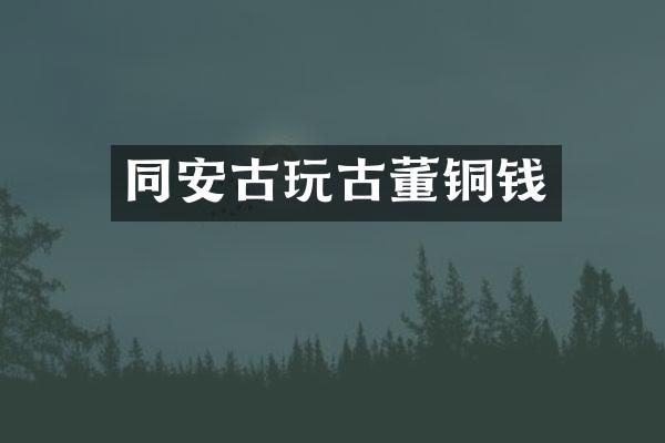 同安古玩古董铜钱
