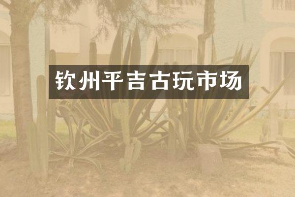 钦州平吉古玩市场