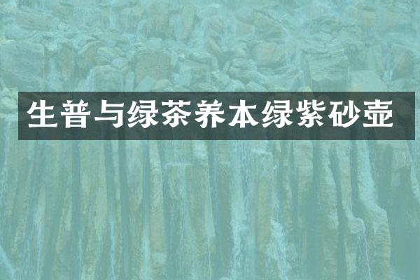 生普与绿茶养本绿紫砂壶