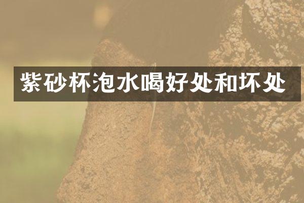 紫砂杯泡水喝好处和坏处