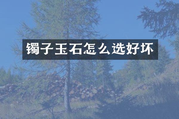 镯子玉石怎么选好坏