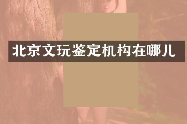 北京文玩鉴定机构在哪儿