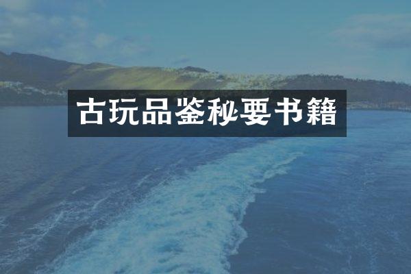 古玩品鉴秘要书籍