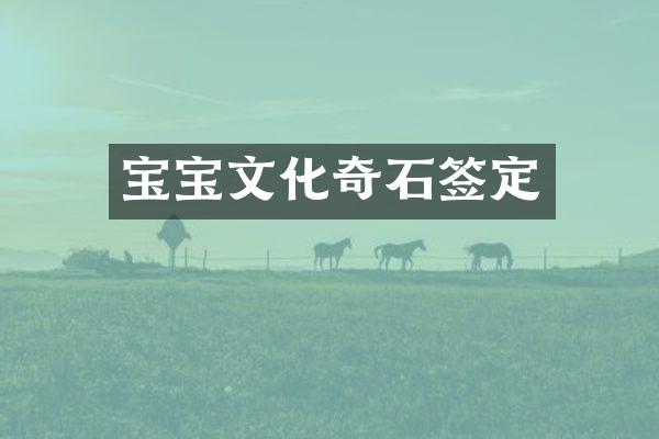 宝宝文化奇石签定