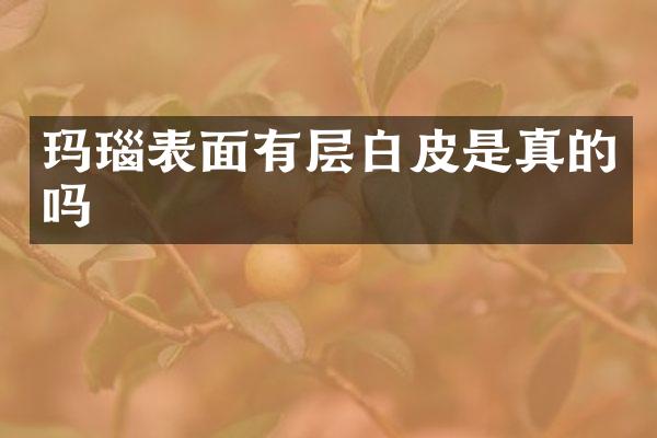 玛瑙表面有层白皮是真的吗