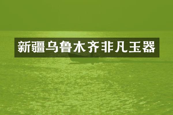新疆乌鲁木齐非凡玉器