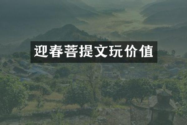 迎春菩提文玩价值