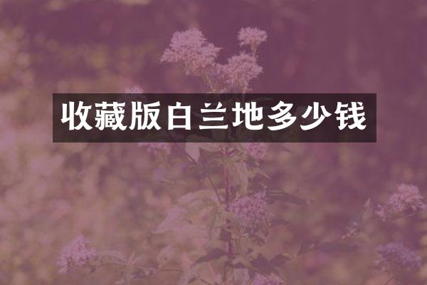 收藏版白兰地多少钱