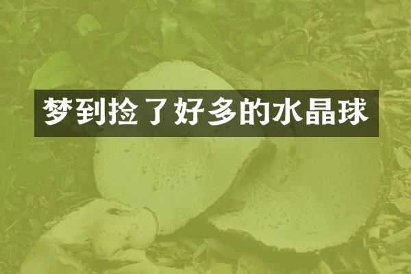梦到捡了好多的水晶球