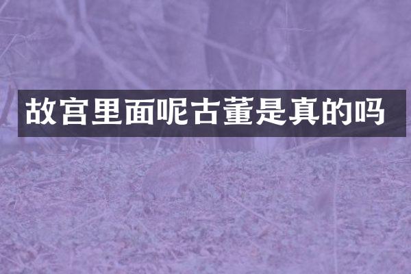 故宫里面呢古董是真的吗