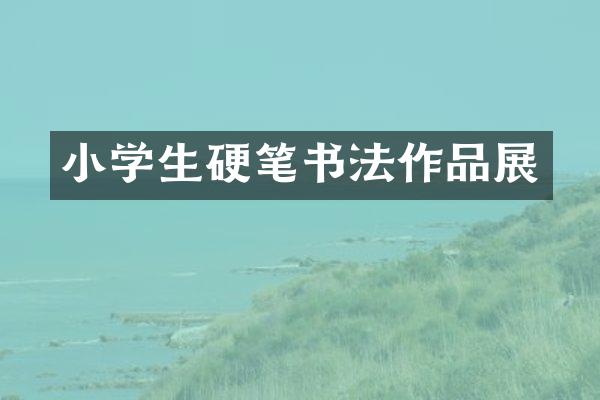 小学生硬笔书法作品展