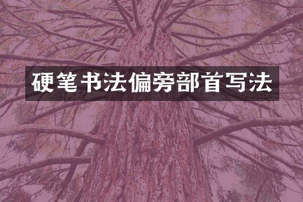 硬笔书法偏旁部首写法