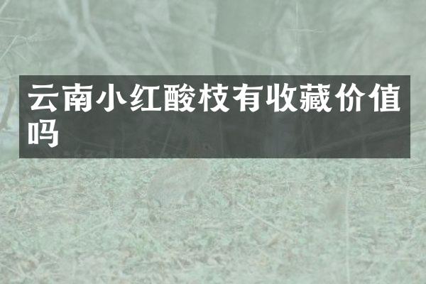 云南小红酸枝有收藏价值吗