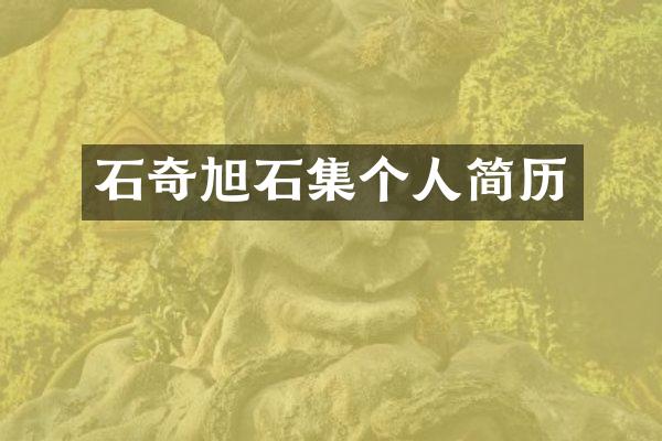 石奇旭石集个人简历