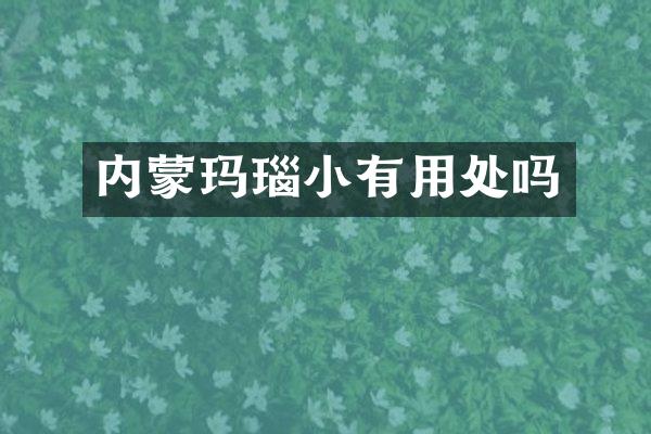 内蒙玛瑙小有用处吗
