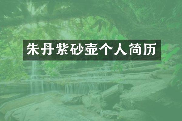 朱丹紫砂壶个人简历