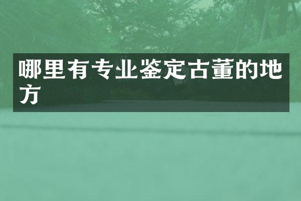 哪里有专业鉴定古董的地方